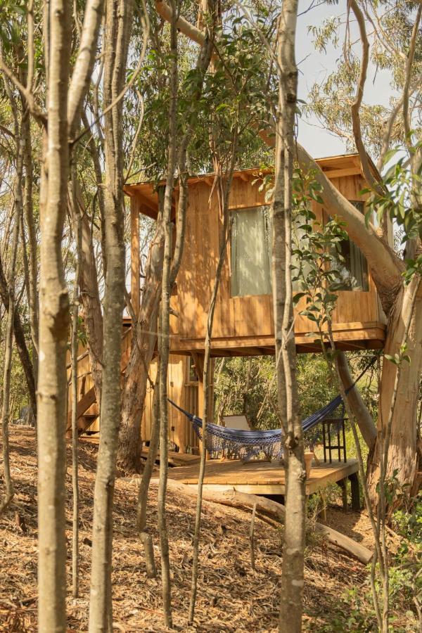 Soul Farm Algarve - Glamping & Farm Houses Алжезур Екстер'єр фото