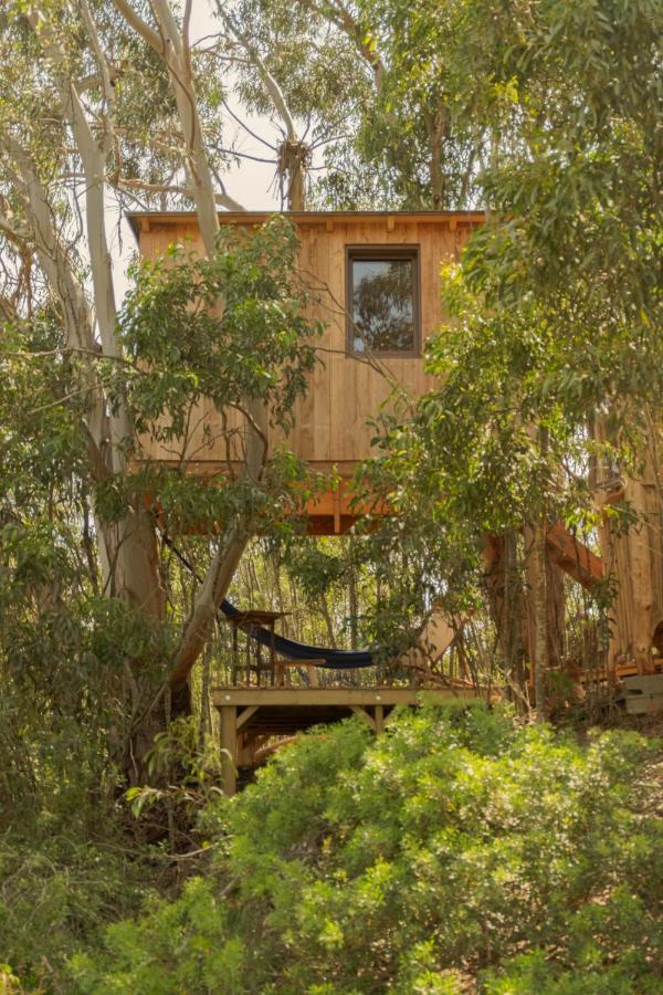 Soul Farm Algarve - Glamping & Farm Houses Алжезур Екстер'єр фото
